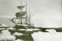 Stella Polare 1900